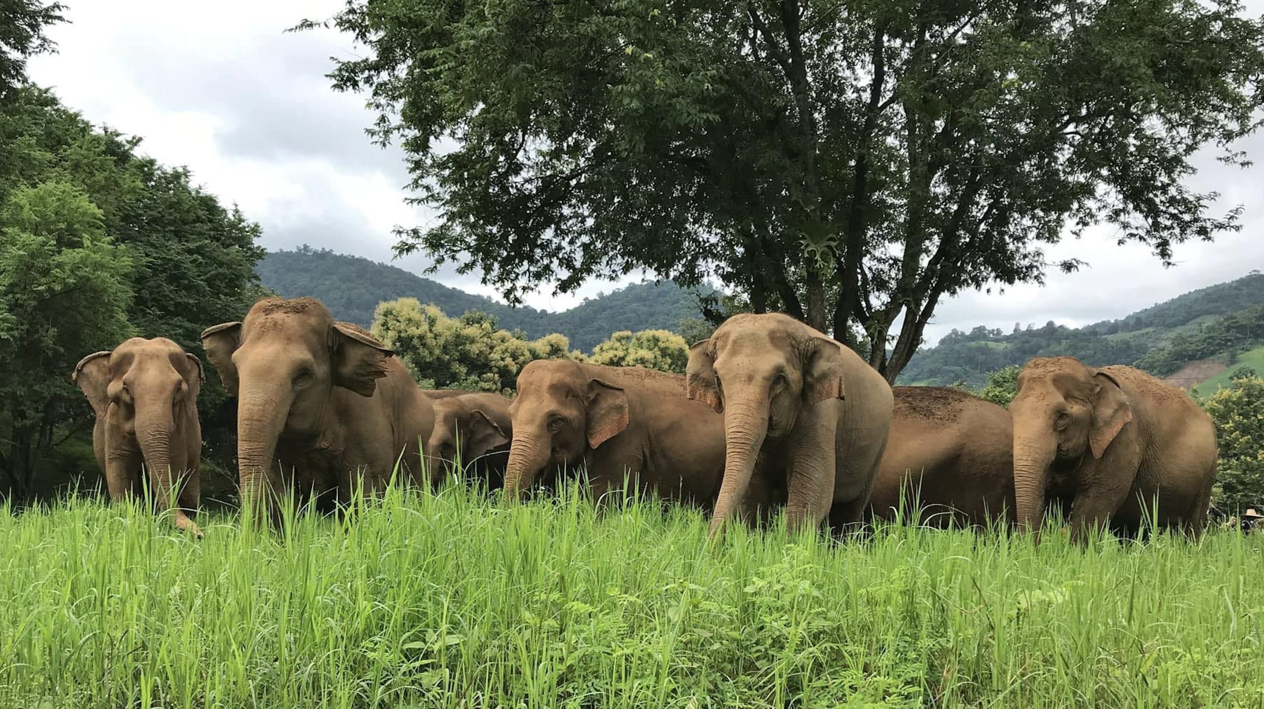 Facebook投稿画像